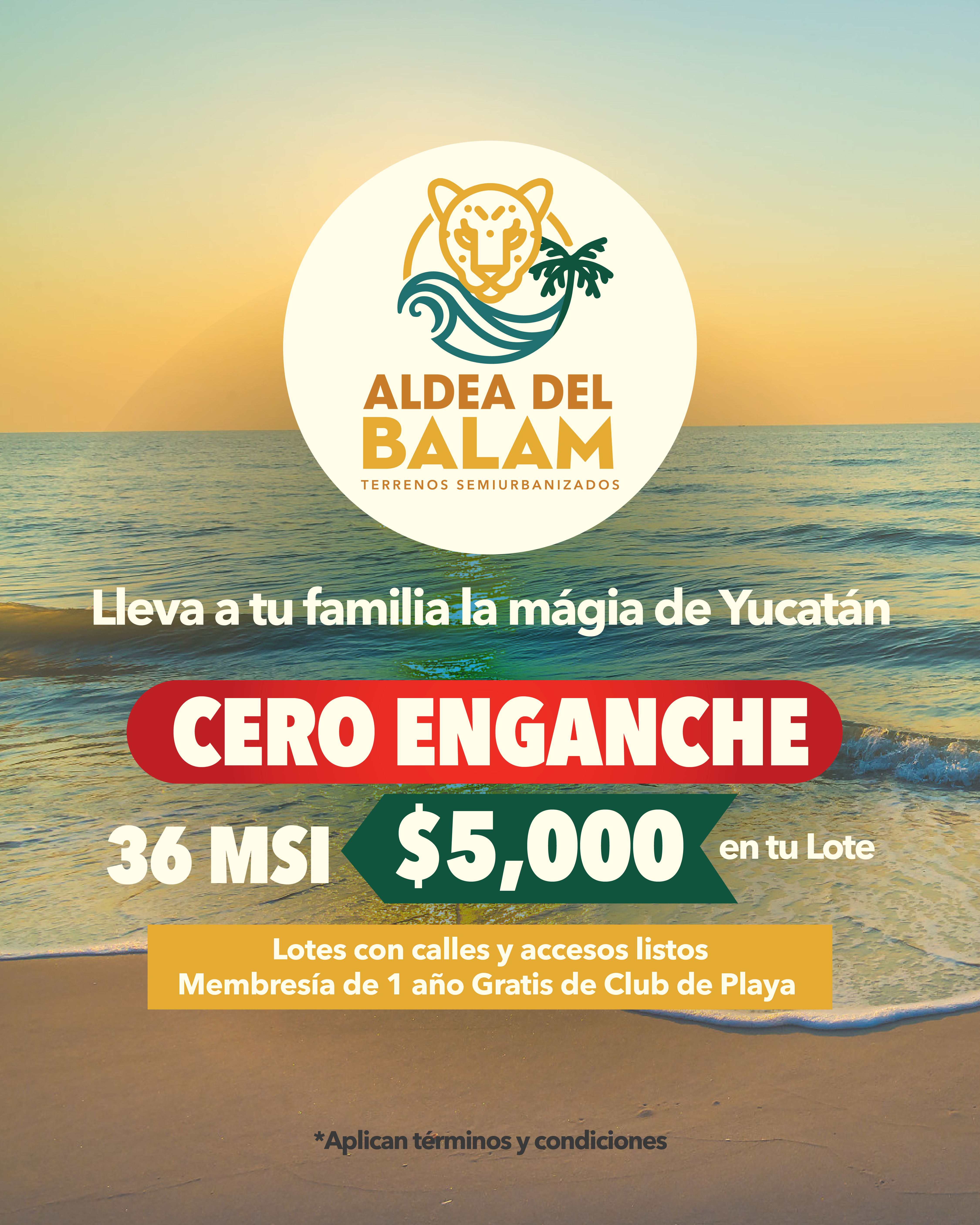 Imagen de desarrollo