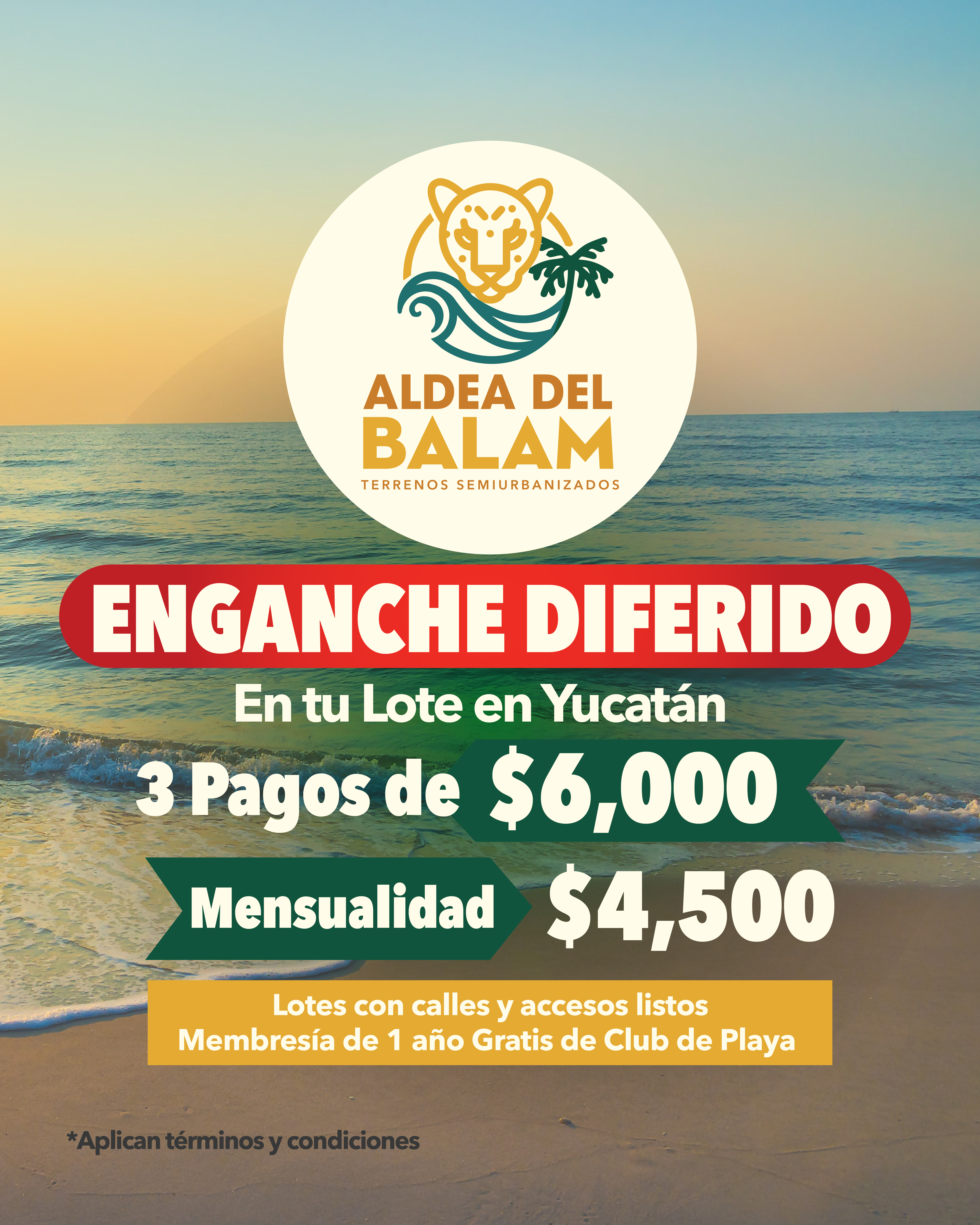 Imagen de desarrollo