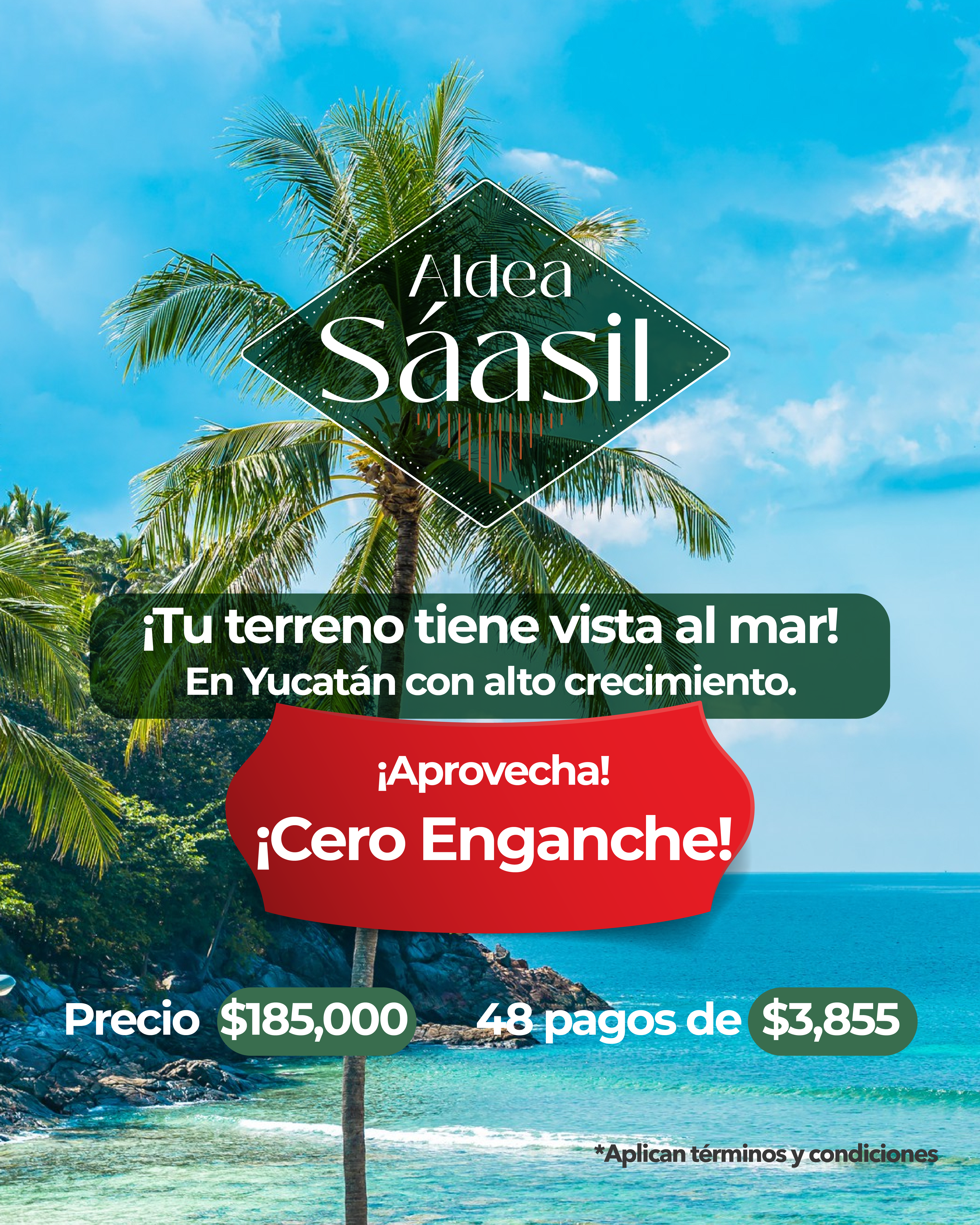 Imagen de desarrollo