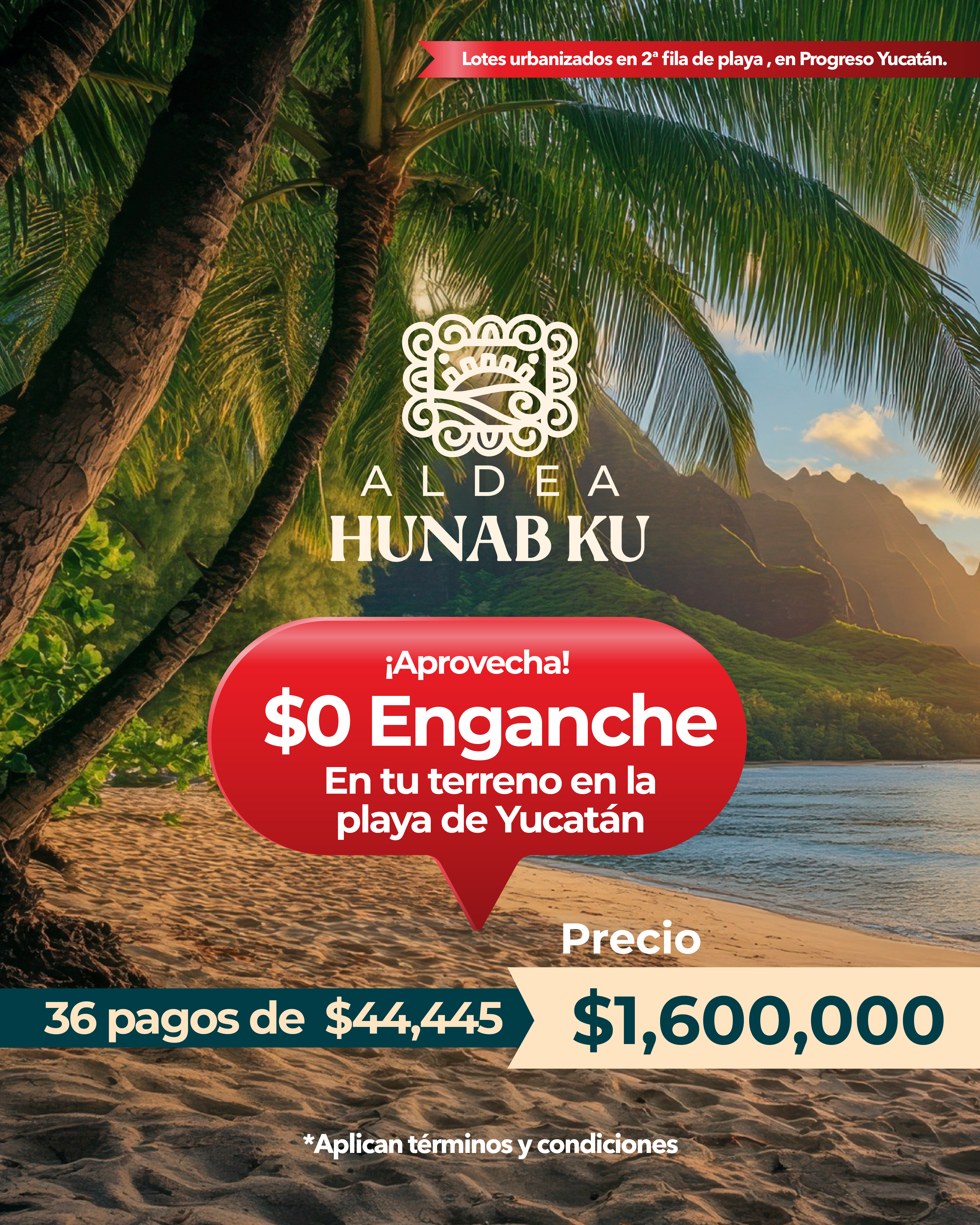 Imagen de desarrollo