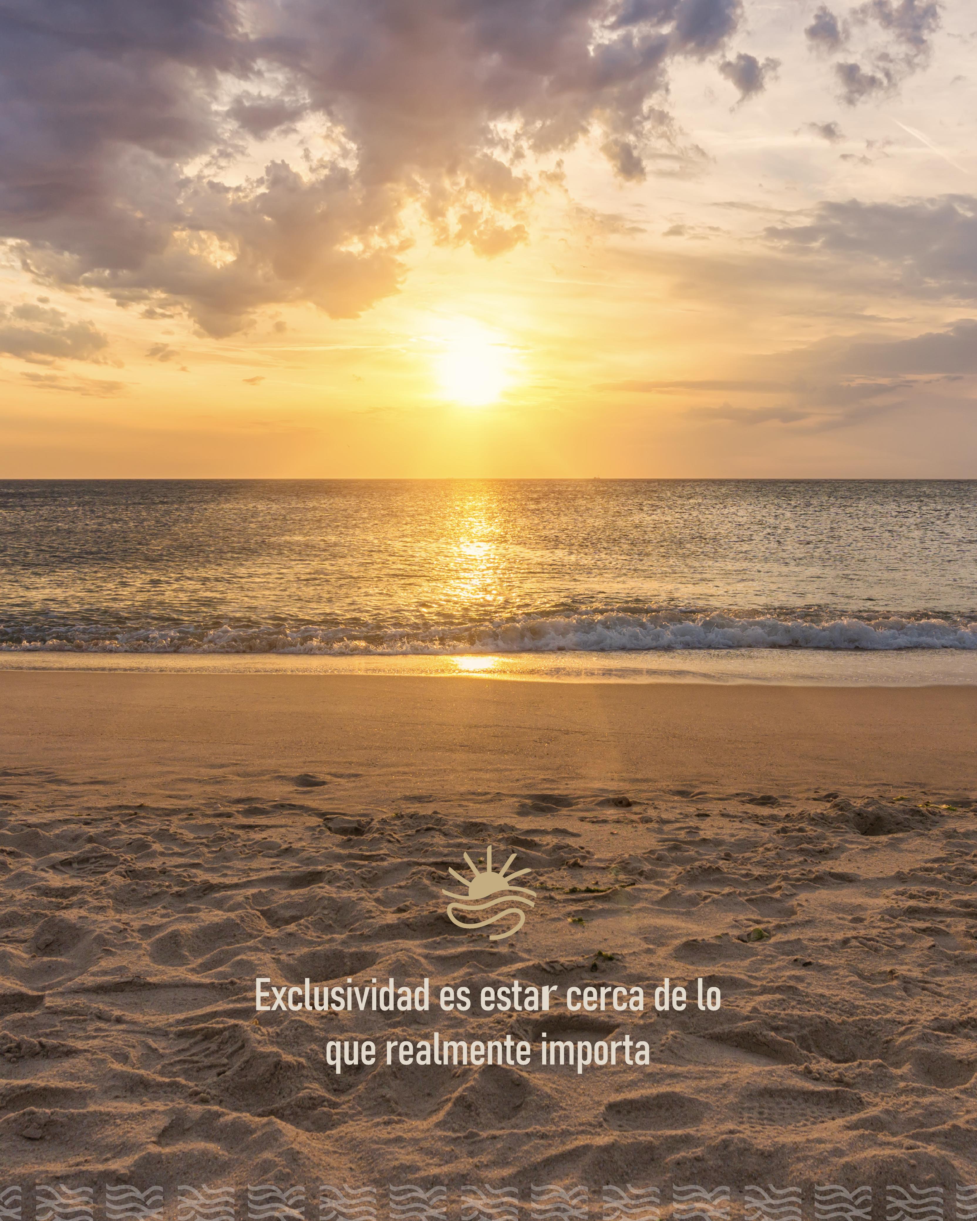 Imagen de desarrollo