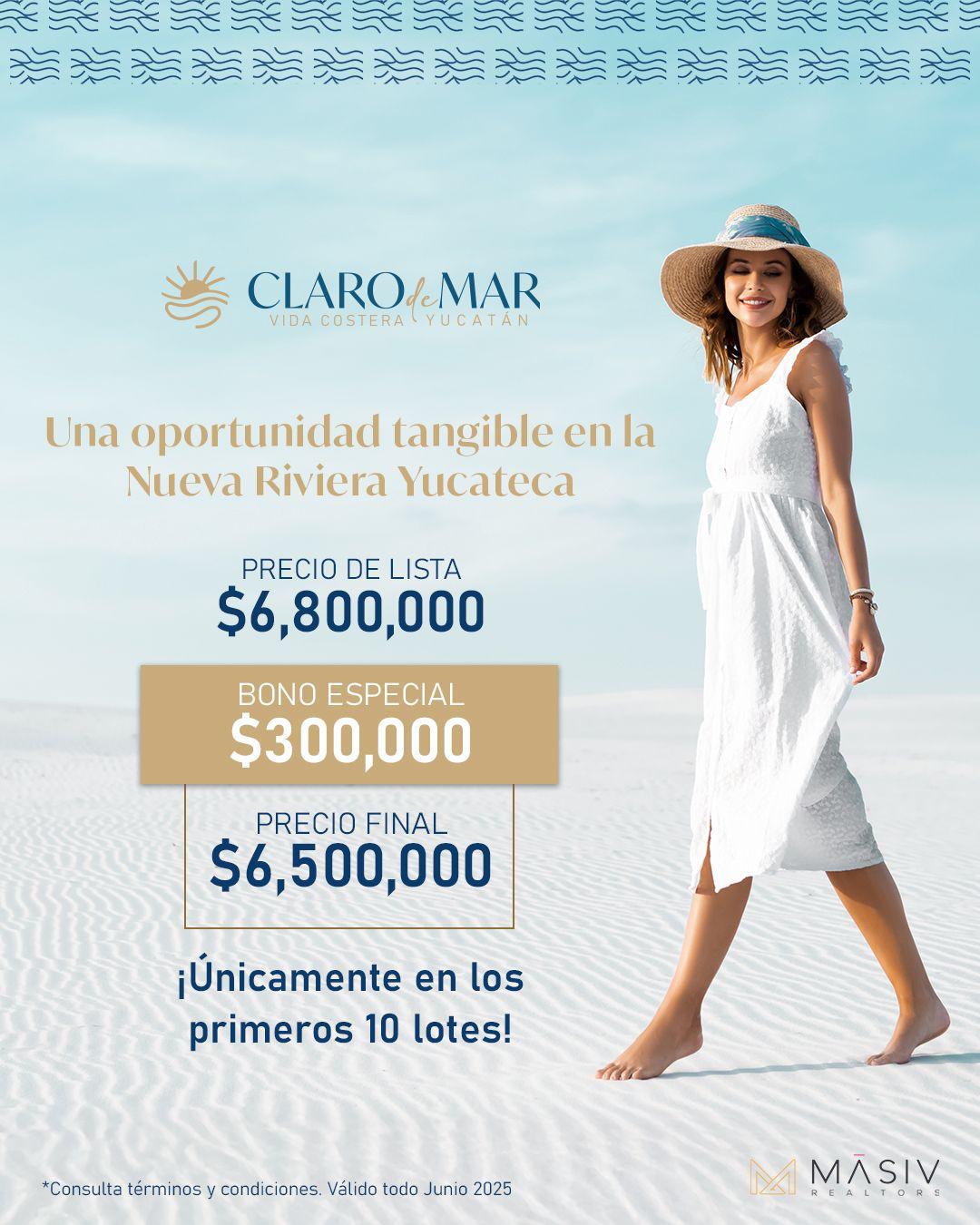 Imagen de desarrollo