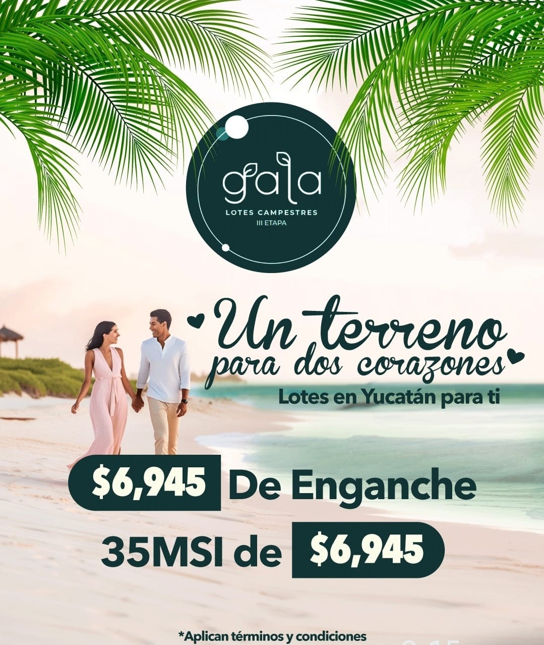 Imagen de desarrollo