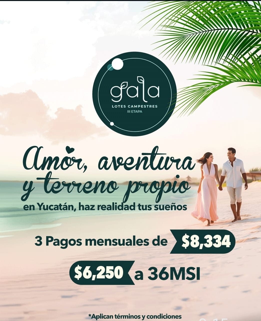 Imagen de desarrollo