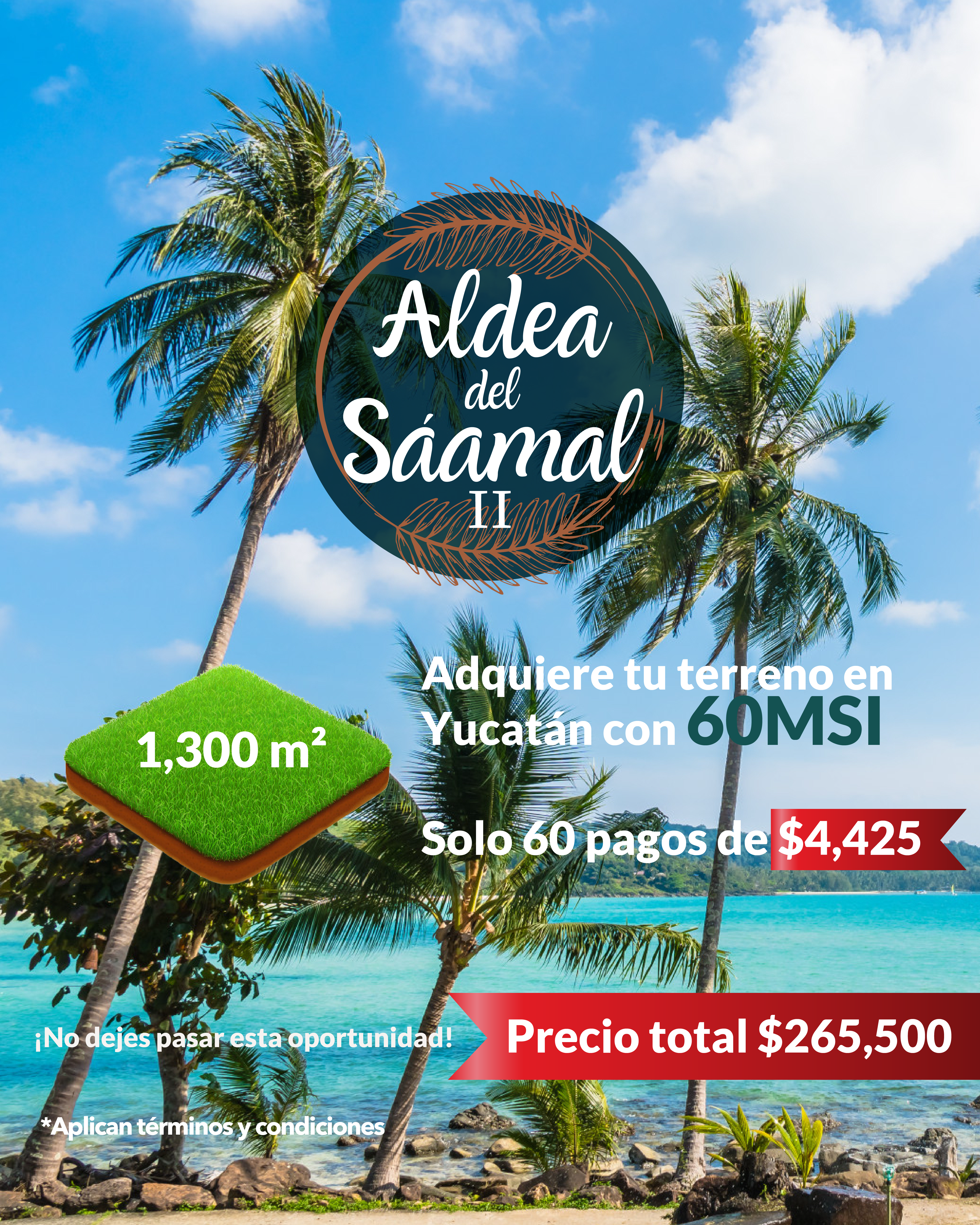 Imagen de desarrollo