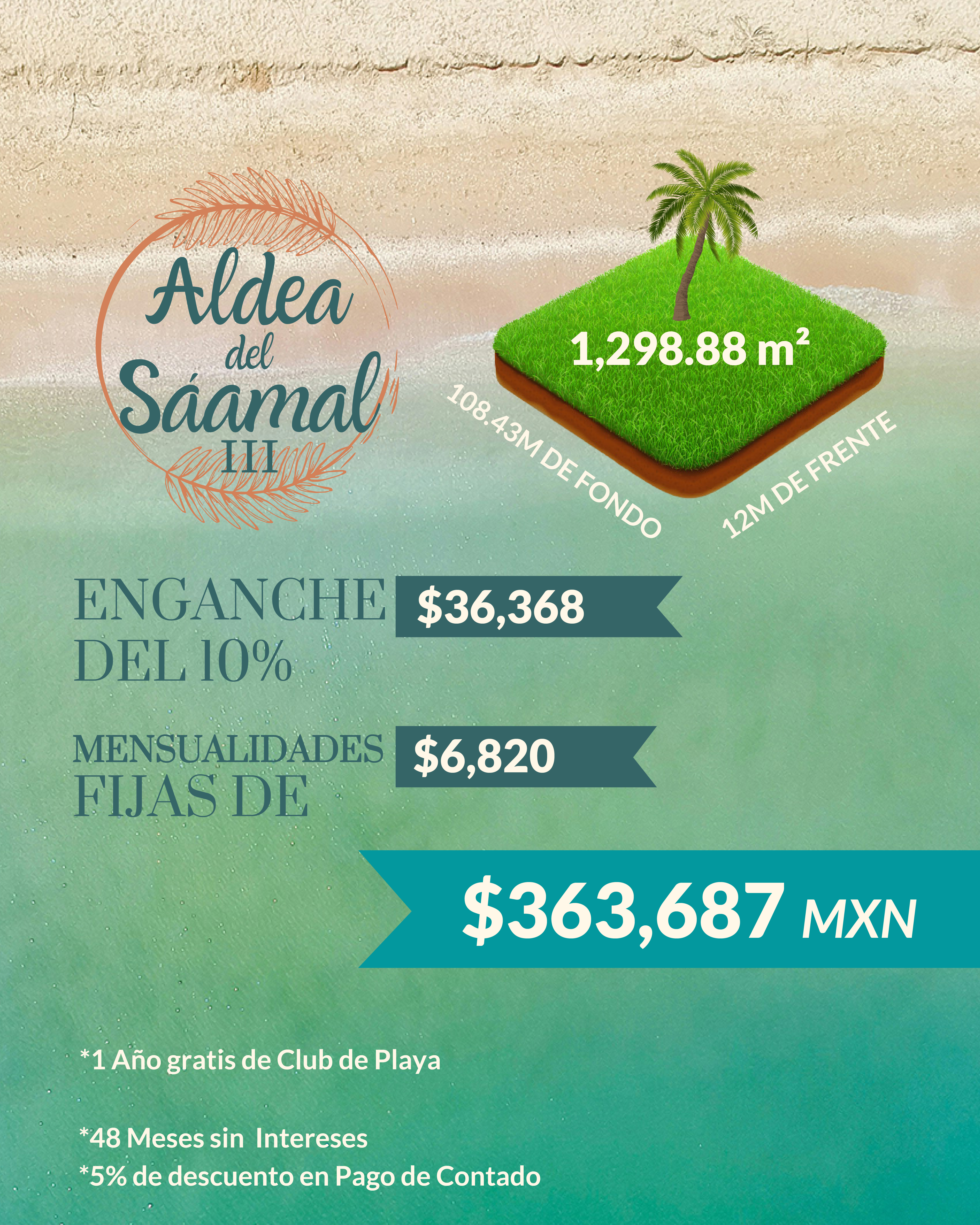 Imagen de desarrollo